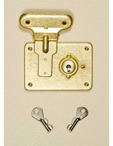 Spare Set of 2 Flip Lock Keys