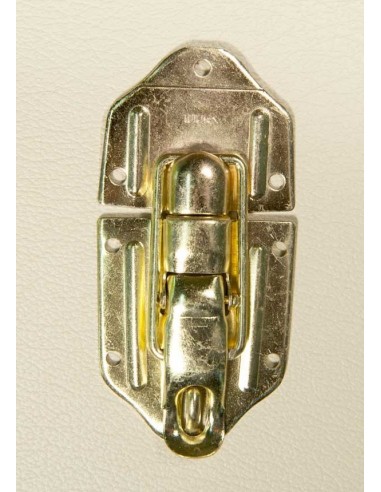 Trunk Padlockable Catch - Gold or Silver Available
