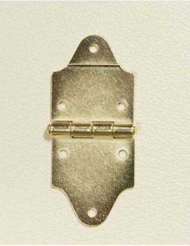 End Trunk Hinge - Gold in Colour