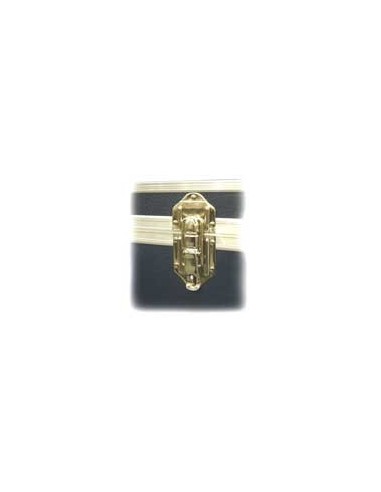 Trunk Padlockable Catch - Gold or Silver Available