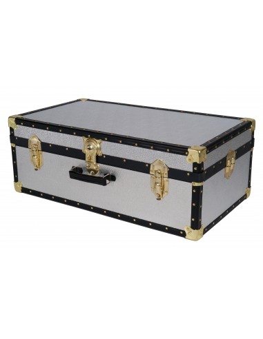 33" Hand Trunk - Silver Alloy