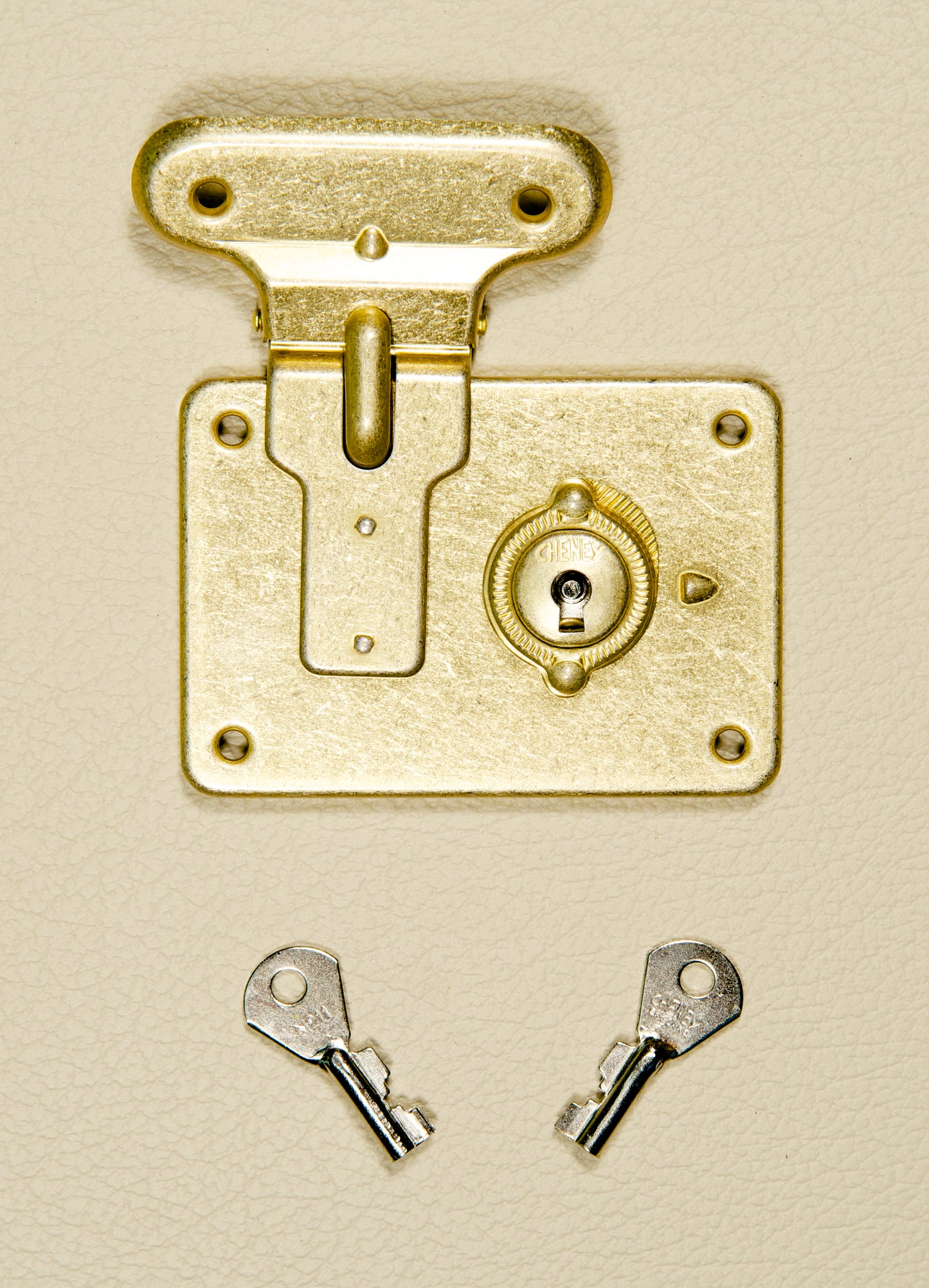 Spare Set of 2 Flip Lock Keys