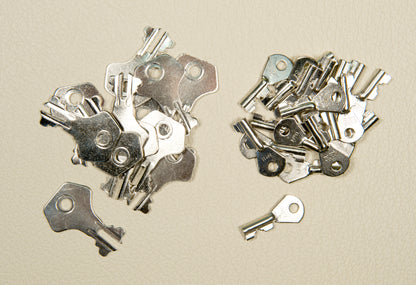 Spare Set of 2 Flip Lock Keys