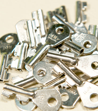 Spare Set of 2 Flip Lock Keys