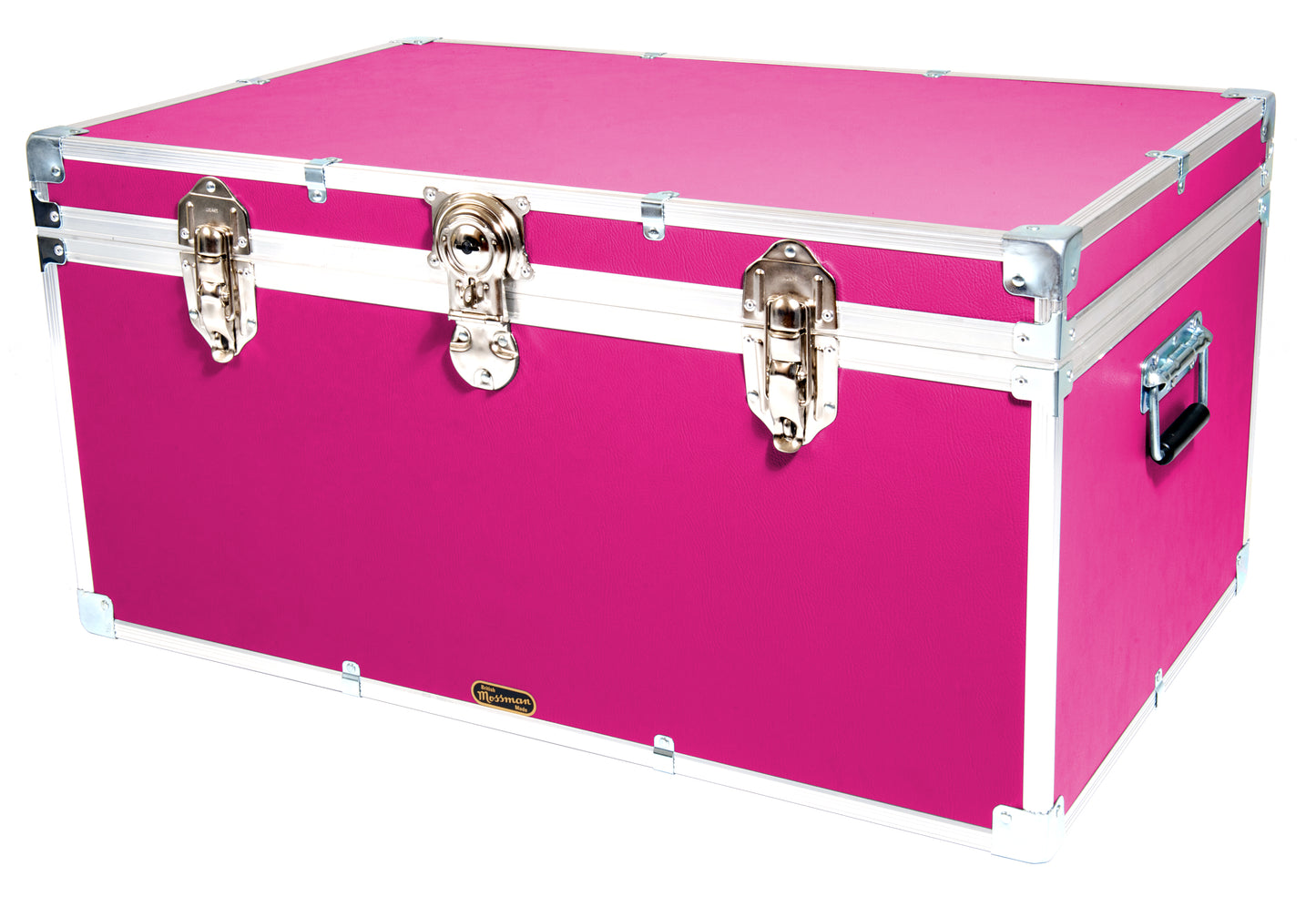 Industrial 33" Storer Trunk