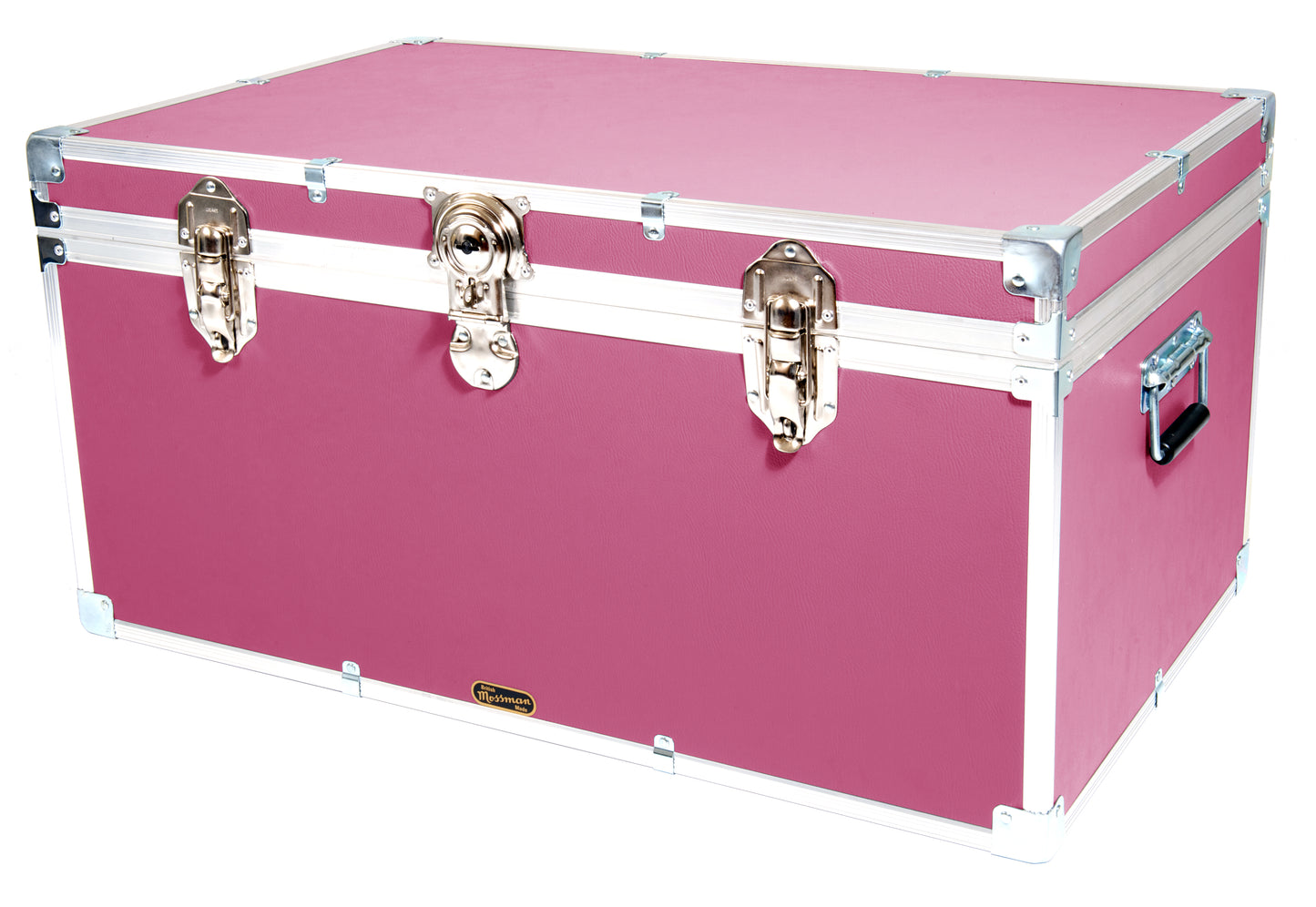 Industrial 33" Storer Trunk